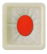 Natural Carnelian at Wholesale Rate 7.25 Ratti 6.89 Carat Oval Shape रात-रतुवा Loose Gemstone for Astrological 1 Pcs