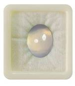 Natural Rose Quartz at Wholesale Rate 12.25 Ratti 11 Carat Oval Shape गुलाबी स्फटिक Loose Gemstone Astrological 1 Pcs