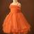 Orange Ariel Dress