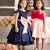 Navy Blue And Soft Pink Bow Belt Merida Dress