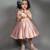 Pastel Pink And Pastel Yellow Love In Paris Dress