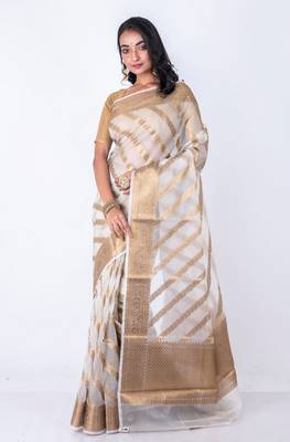 Vanarasi all over zari work saree 3