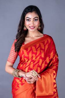 Vanarasi south silk saree