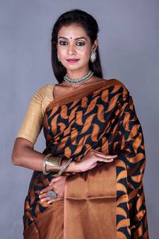 Vanarasi south silk saree