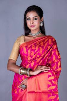 Vanarasi south silk saree