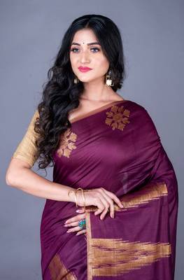 Vanarasi south chanderi silk temple border saree 1
