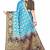 SKY BLUE BANARASI SILK SAREE 