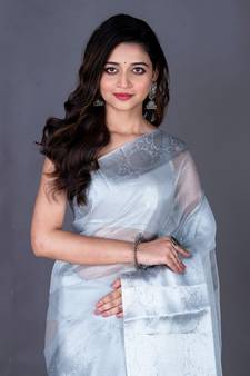 Vanarasi zari tissu saree