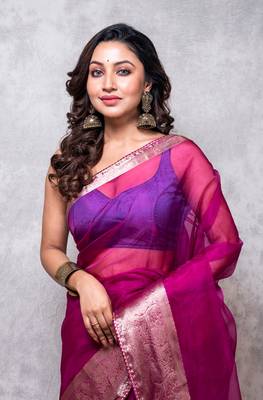 Organza saree 3