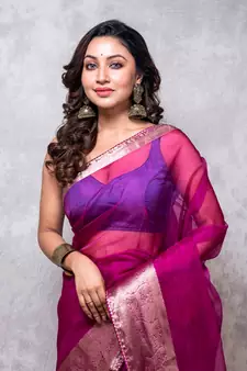 Organza saree