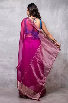 Organza saree