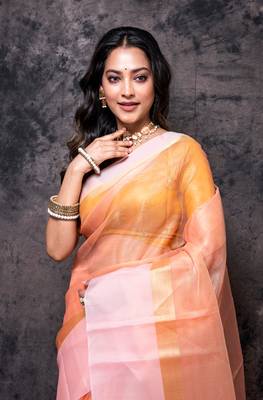 Tissue check, kora, tissue saree 2