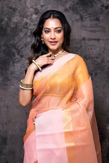 Tissue check, kora, tissue saree
