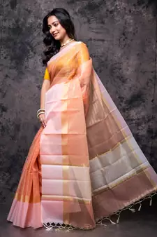 Tissue check, kora, tissue saree