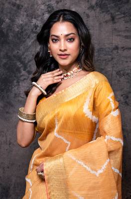 Organza heavy zari saree 2