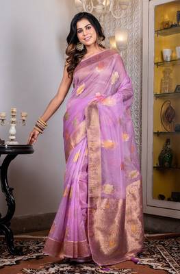 Organza heavy zari saree 2