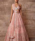 Peach Embroidered Organza Circular Lehenga with Blouse (Size Upto 42) 