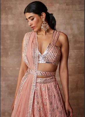 Peach Embroidered Organza Circular Lehenga with Blouse (Size Upto 42)  3