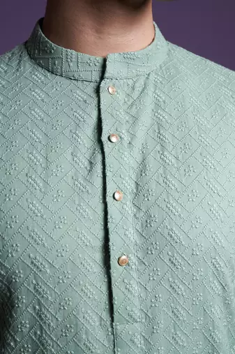 Sage Green Brush Kurta set