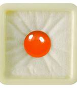 Natural Carnelian at Wholesale Rate 5.25 Ratti 4.77 Carat Small Round Shape रात-रतुवा Loose Gemstone Rashi Ratan 1 Pcs
