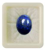 Natural Lapis Lazuli at Wholesale Rate 7.25 Ratti 6.89 Carat Oval Shape लाजवर्द Loose Gemstone Astrology Purpose 1 Pcs