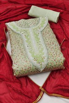 Olive embroidered organza salwar