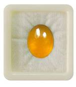 Natural Yellow Sapphire at Wholesale Rate 9.25 Ratti 8.36 Carat Cabochon Oval Shape पुखराज Loose Gemstone Ratan 1 Pcs