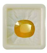 Natural Yellow Sapphire at Wholesale Rate 6.25 Ratti 5.68 Carat Cushion Shape पुखराज Loose Gemstone Rashi Ratan 1 Pcs