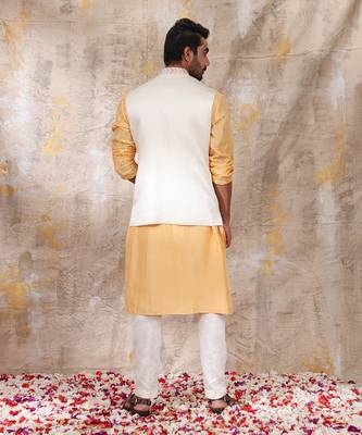 Multicolor Jashn Chevron Nehru Jacket 3