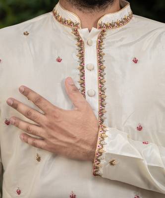 Beige Hand Embroidered Pattu Set 2