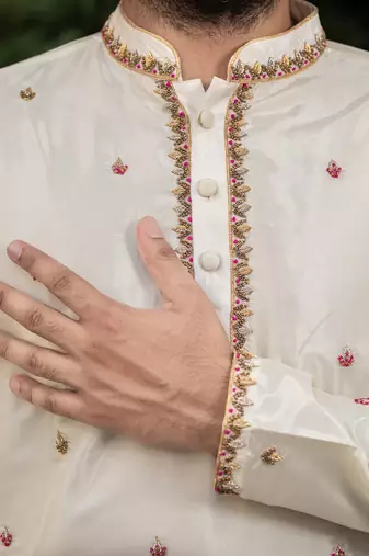 Beige Hand Embroidered Pattu Set