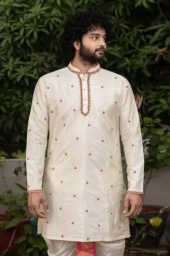 Beige Hand Embroidered Pattu Set