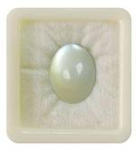 Natural White Moonstone at Wholesale Rate 9.25 Ratti 8.36 Carat Oval Shape चंद्रकांत Loose Gemstone Rashi Ratan 1 Pcs
