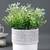 White Planter with Brown Textured effect
