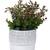 White Planter with Brown Textured effect