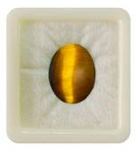 Natural Tiger Eye at Wholesale Rate 6.25 Ratti 5.68 Carat Oval Shape चिति Loose Gemstone For Astrologers Jewellers 1 Pcs