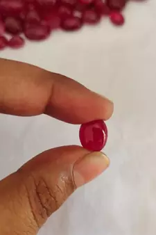 Natural Ruby at Wholesale Rate 8.25 Ratti 7.5 Carat Oval Shape माणिक Loose Gemstone for Astrology Purpose Ratan 1 Pcs