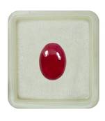 Natural Ruby at Wholesale Rate 10.25 Ratti 9.25 Carat Oval Shape माणिक Loose Gemstone for Astrology Purpose Ratan 1 Pcs