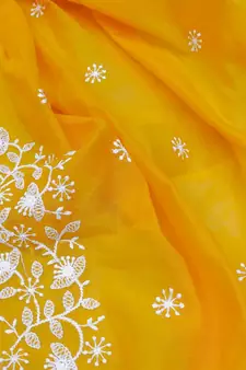 Mustard embroidered chanderi silk salwar