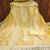 Yellow embroidered chanderi silk salwar