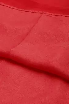 Red embroidered faux georgette salwar