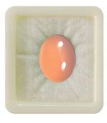 Natural Pink Carnelian at Wholesale Rate 5.25 Ratti 4.77 Carat Oval रात-रतुवा  Loose Gemstone Astrology Purpose 1 Pcs