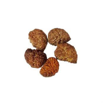 Natural 1 Mukhi One Faced Nepali Rudraksha Beads at Wholesale Rate Healing Loose Fine Quality Astrology Jewellery 1 Pcs 2