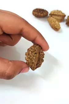 Natural 2 Mukhi Two Faced Nepali Rudraksha Beads at Wholesale Rate Healing Loose Fine Quality Astrology Jewellery 1 Pcs