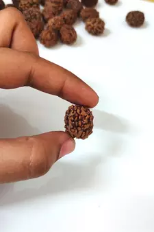 Natural 3 Mukhi Three Faced Rishikesh Rudraksha at Wholesale Rate Healing Loose Fine Quality Astrology Jewellery 1 Pcs