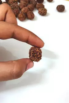 Natural 4 Mukhi Four Faced Nepali Rudraksha Bead at Wholesale Rate Healing Loose Fine Quality Astrology Jewellery 1 Pcs