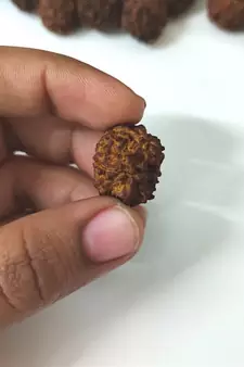 Natural 5 Mukhi Five Faced Nepali Rudraksha Bead at Wholesale Rate Healing Loose Fine Quality Astrology Jewellery 1 Pcs