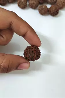 Natural 6 Mukhi Six Faced Nepali Rudraksha Beads at Wholesale Rate Healing Loose Fine Quality Astrology Jewellery 1 Pcs
