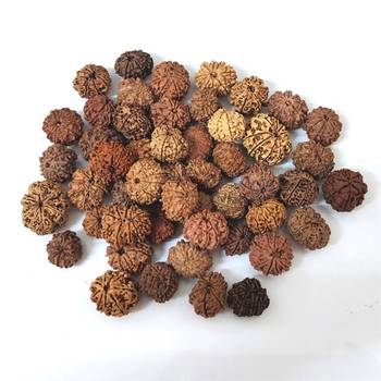 Natural 9 Mukhi Nine Faced Nepali Rudraksha Bead at Wholesale Rate Healing Loose Fine Quality Astrology Jewellery 1 Pcs 3
