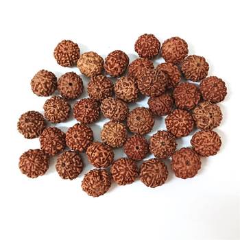 Natural 7 Mukhi Seven Faced Indonesia Rudraksha Beads at Wholesale Rate Looses Fine Quality Astrology Jewellery 1 Pcs 3